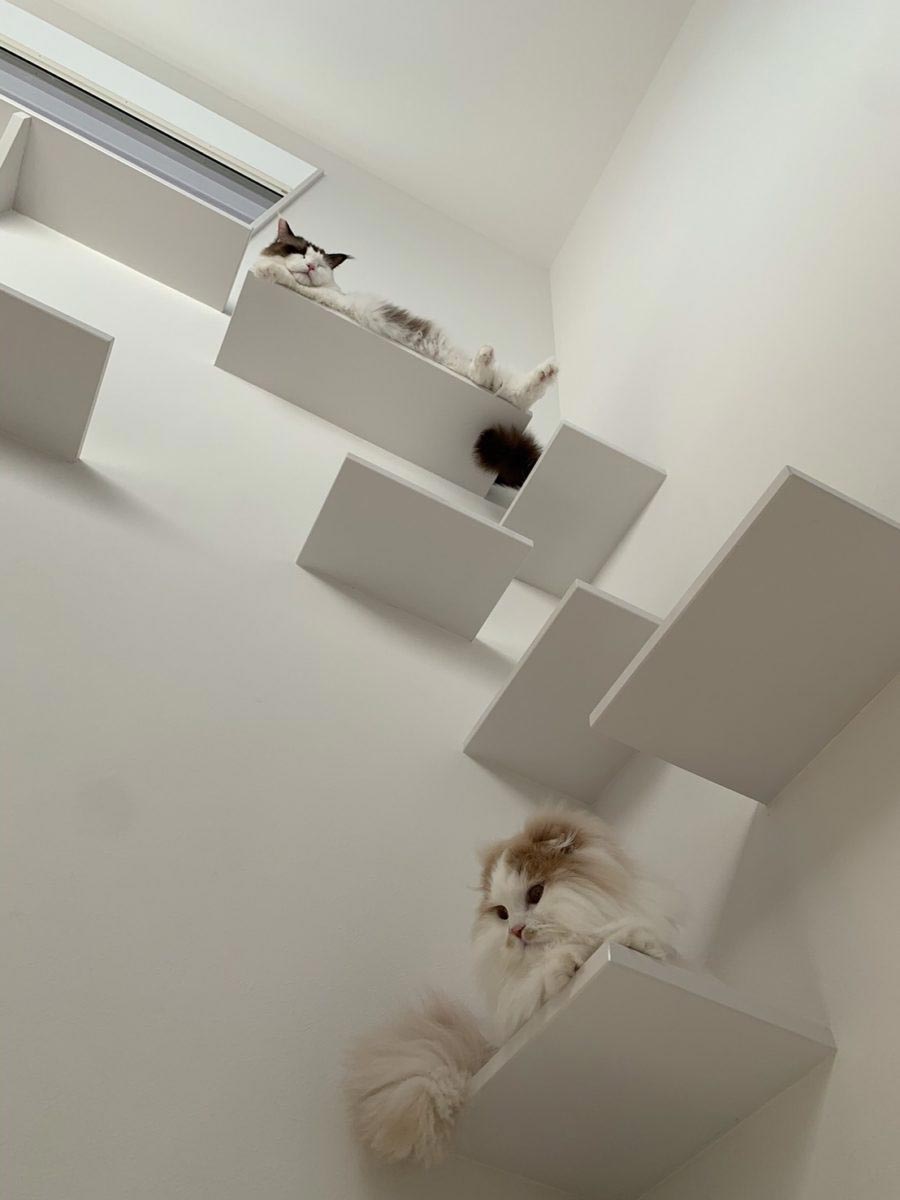 株式会社五十嵐工匠福島県会津若松市の工務店・注文住宅